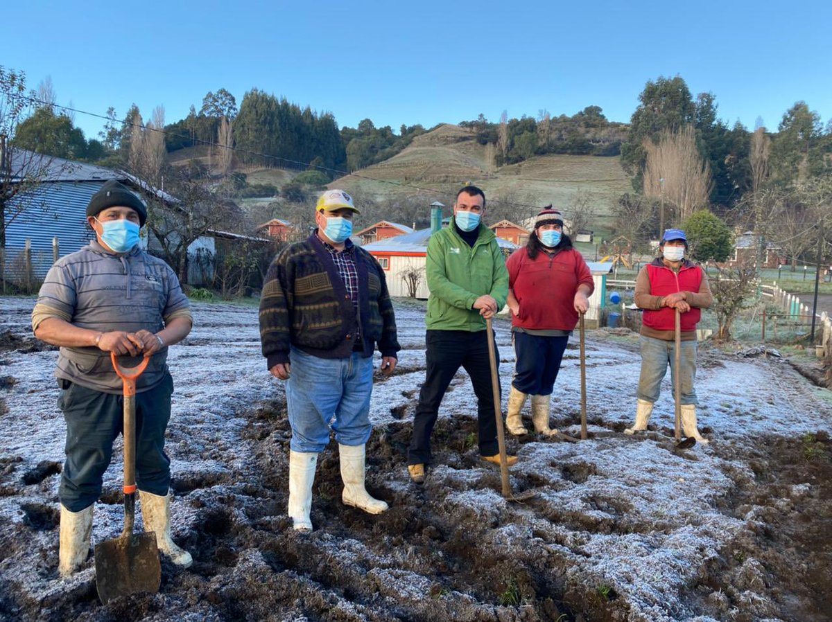 Juaneduardoconc's tweet photo. En Yutuy junto a don Juan Carlos Pacheco y vecinos en el inicio trabajos “Siembra de Ajo Chilote”.
La solidaridad en el mundo rural es fundamental para seguir manteniendo vivas nuestras tradiciones. https://t.co/z9OnfBxYiY