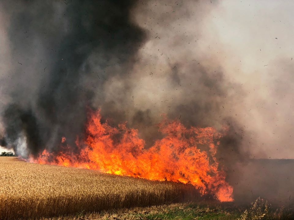 ما زالت الحرائق تندلع في جنوب إسرائيل بفعل البالونات الحارقة التي يطلقها الإرهابيون من قطاع غزة باتجاه…