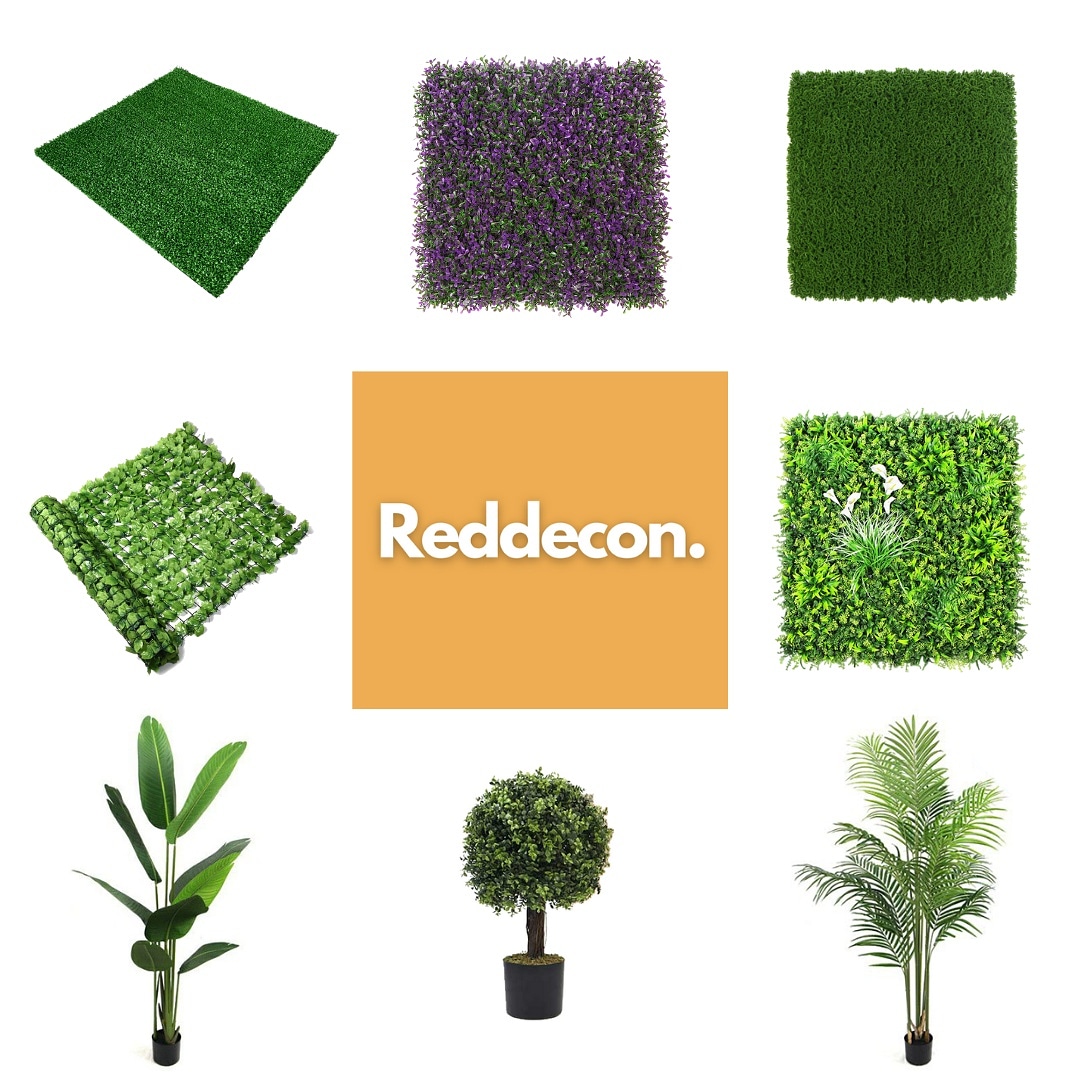 REDDECON's tweet image. Entra en reddecon.com y encuentra la mayor variedad de follajes y productos para jardín de todo #Panama