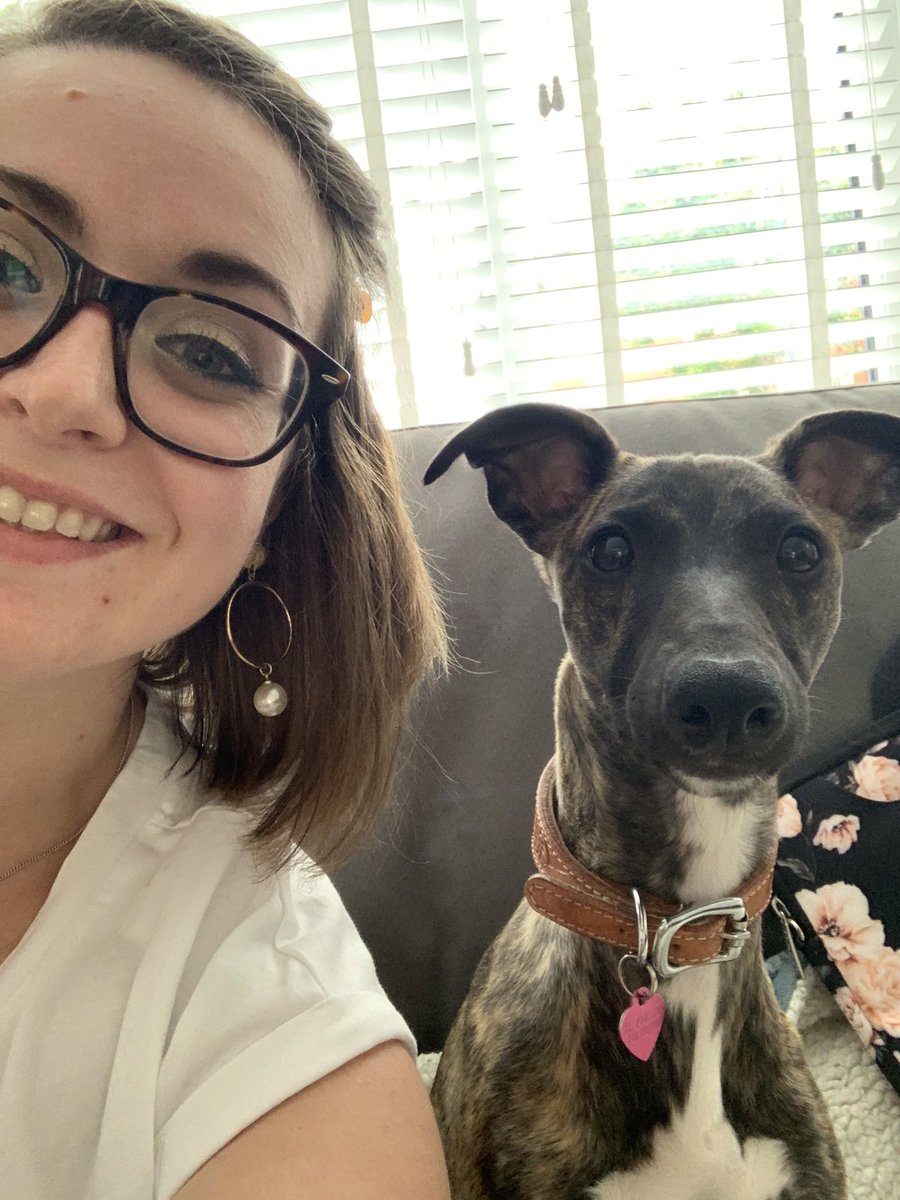 Heidi Paul tweet media