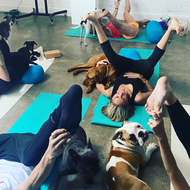 Are you ready for <a href="/day_doga/">International Doga Day</a> ? June 21 st we are running #dogyoga in Marylebone organic Pharmacy to raise money for Rushton Dog Rescue! For charity tickets visit dogayoga.fit <a href="/annawebbdogs/">ANNA WEBB</a> <a href="/MoveTheWorld/">World Animal Protection</a> <a href="/SimonCowell/">Simon Cowell</a> <a href="/RushtonDRescue/">Rushton Dog Rescue</a> <a href="/PipTomson/">Pip Tomson</a>  <a href="/psychicsisters/">Psychic Sisters</a>