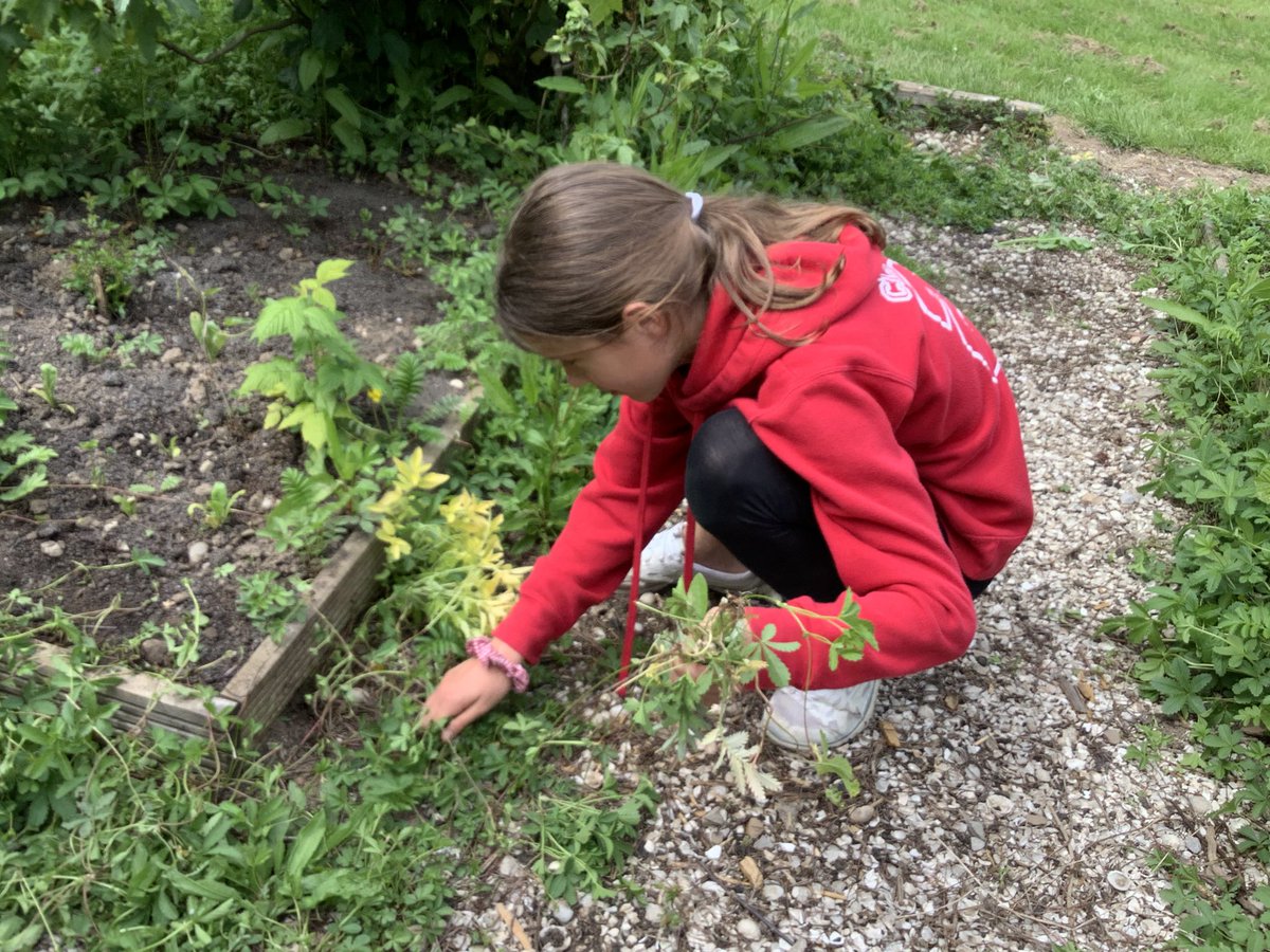 Weeding #KnelstonGreens #Souperb