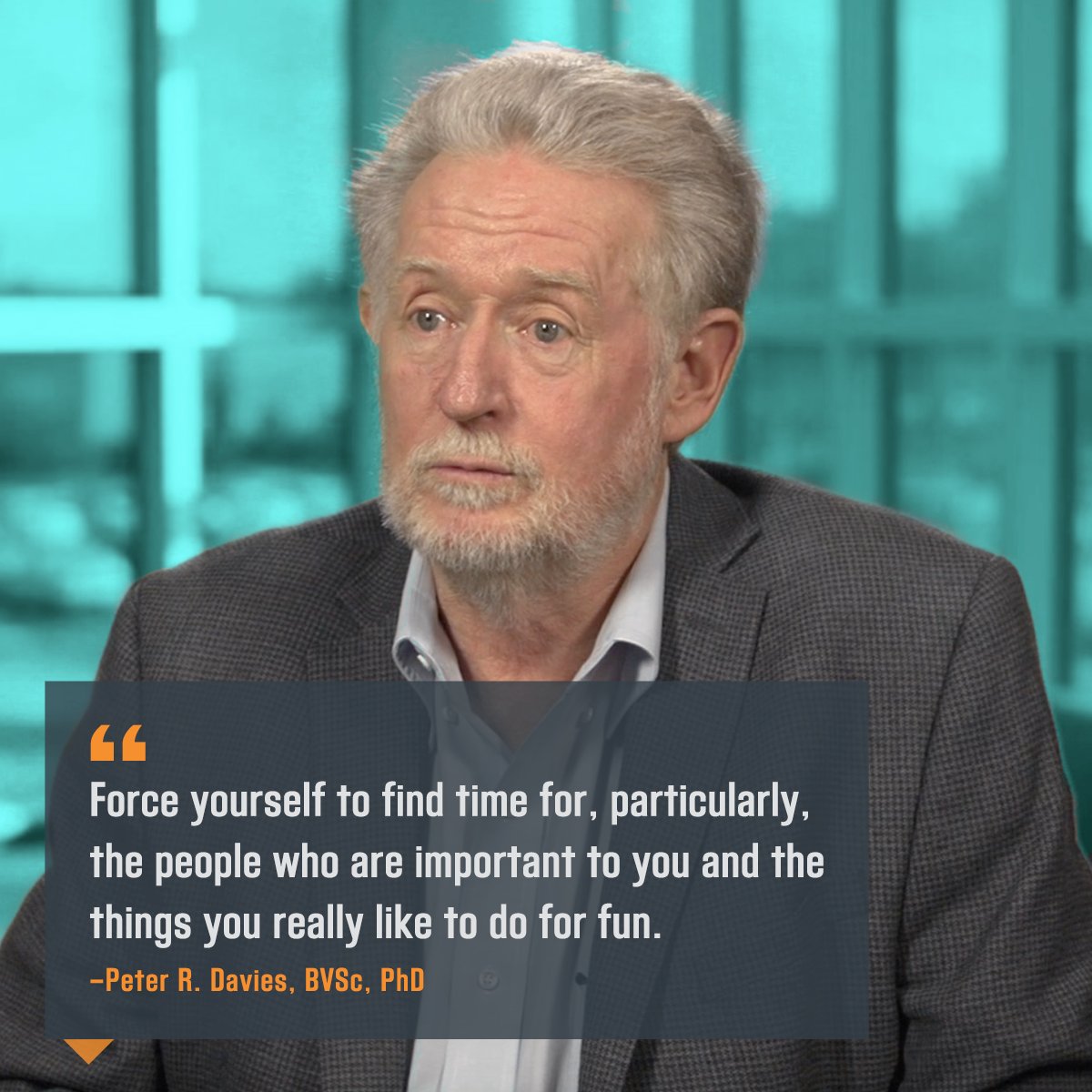 MerckVetManual's tweet photo. Dr. Peter Davies, swine specialist and Merck Veterinary Manual editorial board member, has witnessed many students grow into successful veterinarians over the years. Here is some of his advice. 🐖 
Watch his entire interview here: https://t.co/BiXvkhMRPL
#futuredvm #vetstudents https://t.co/C3eX6HKe6V