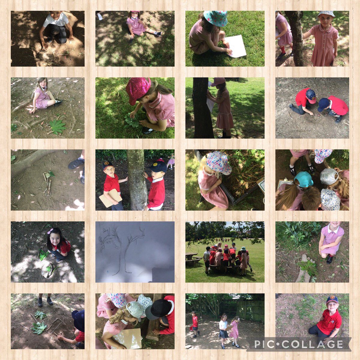 Llysfaen2026's tweet photo. #1SW had a lot of fun ‘stepping outdoors’ to launch our new theme! #stepoutdoors #outdoorlearning https://t.co/GNmG7rOeoO