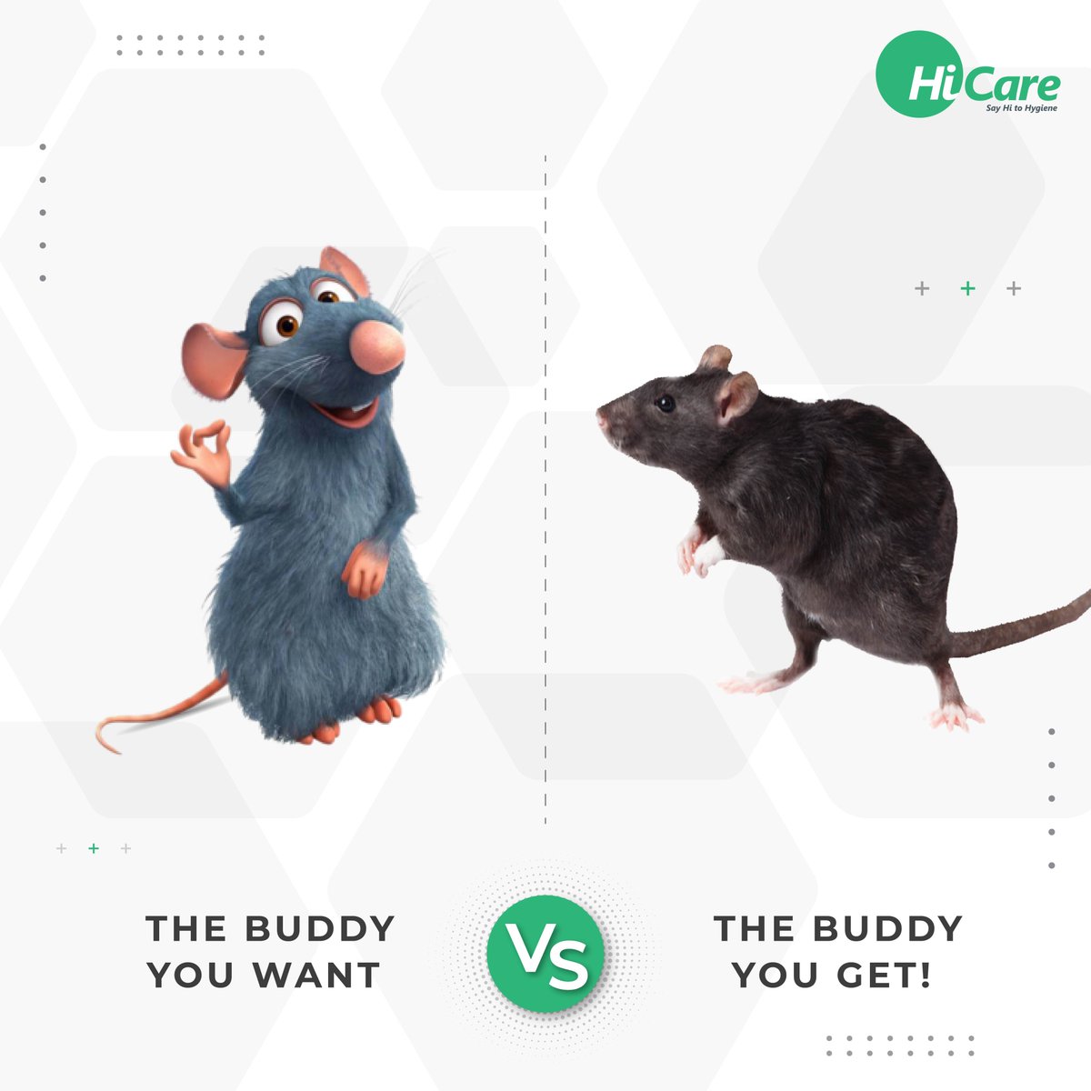 hicare_services's tweet photo. Why tolerate the filthy rodents when you can easily call experts and get rid of them? Call 8828333888 or visit https://t.co/WOC636ONN4 and get professional pest solutions today.
#Hicare #ratatouille #rodentcontrol #ExpectationVsReality #hygieneexpert https://t.co/EWPcvYGKb9