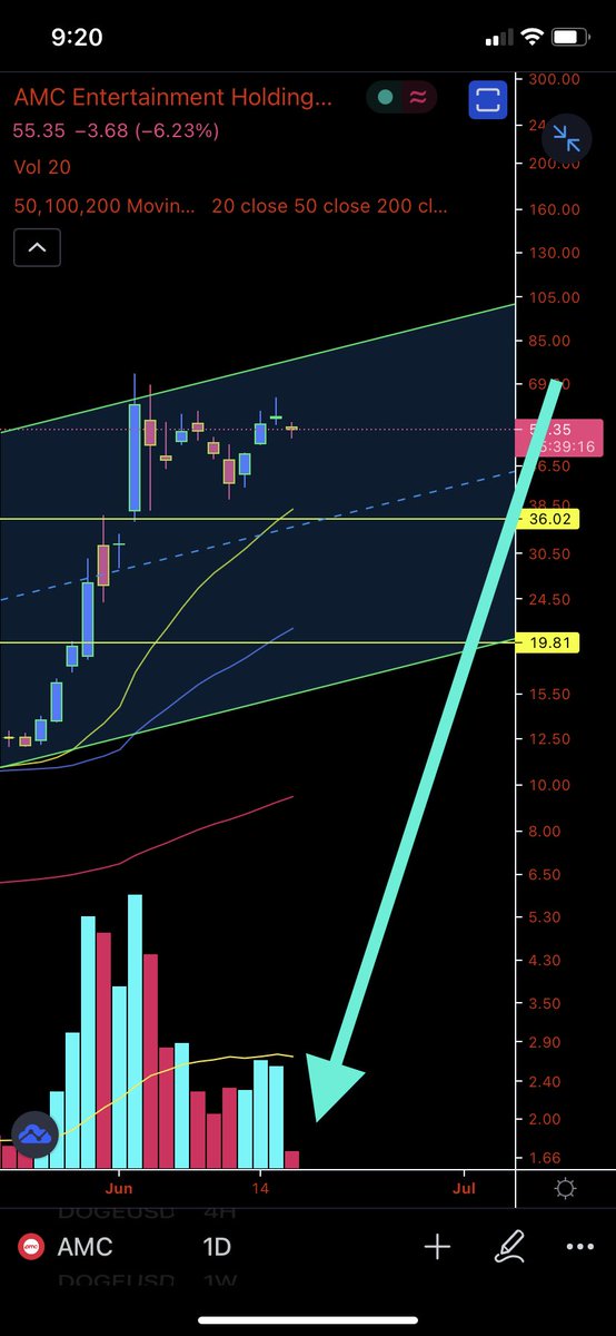 BTan2121's tweet photo. @TradesTrey @avivhadar @TaraBull808 You’re telling me AMC mini pullback was caused by this tiny selling volume? You must be outta your mind!! Only makes the AMC rocket ship stronger as we APES 🦍love buying the dip. $AMC #AMC #AMC2k https://t.co/3LWrvUQ2Yh