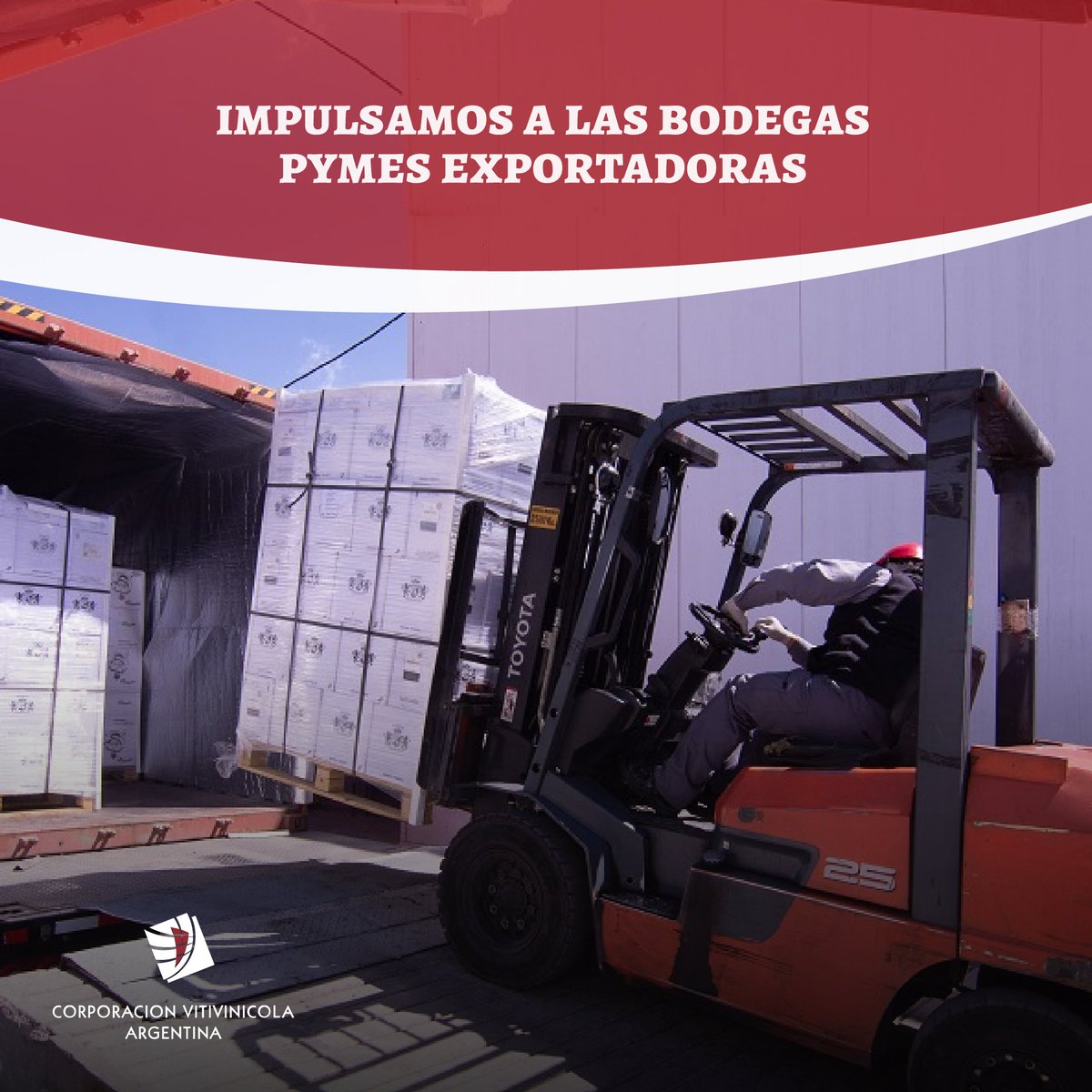 PYMES EXPORTADORAS: UNA NUEVA UNIDAD EJECUTORA

Siguiendo lo marcado por el PEVI 2030, impulsamos una nueva unidad ejecutora para apoyar a las empresas vitivinícolas a exportar 🍇