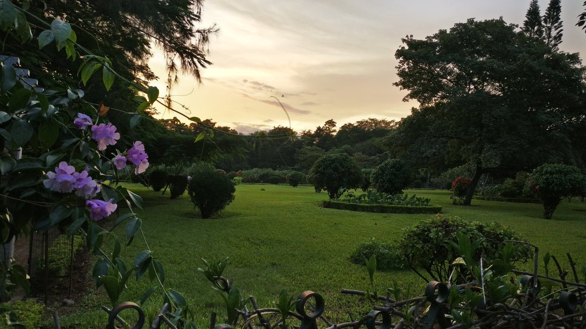 deora_shubham's tweet photo. Lung space of the city on a rainy evening.

Cubbon Park (Sri Chamarajendra Park), Bengaluru.

#cubbonpark #bengaluru #cubbontrails #Bangalore #garden https://t.co/4dulk7KmWU