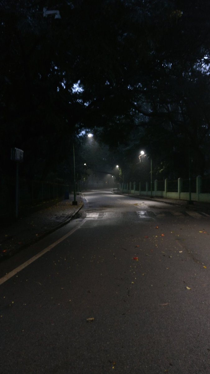 deora_shubham's tweet photo. Lung space of the city on a rainy evening.

Cubbon Park (Sri Chamarajendra Park), Bengaluru.

#cubbonpark #bengaluru #cubbontrails #Bangalore #garden https://t.co/4dulk7KmWU