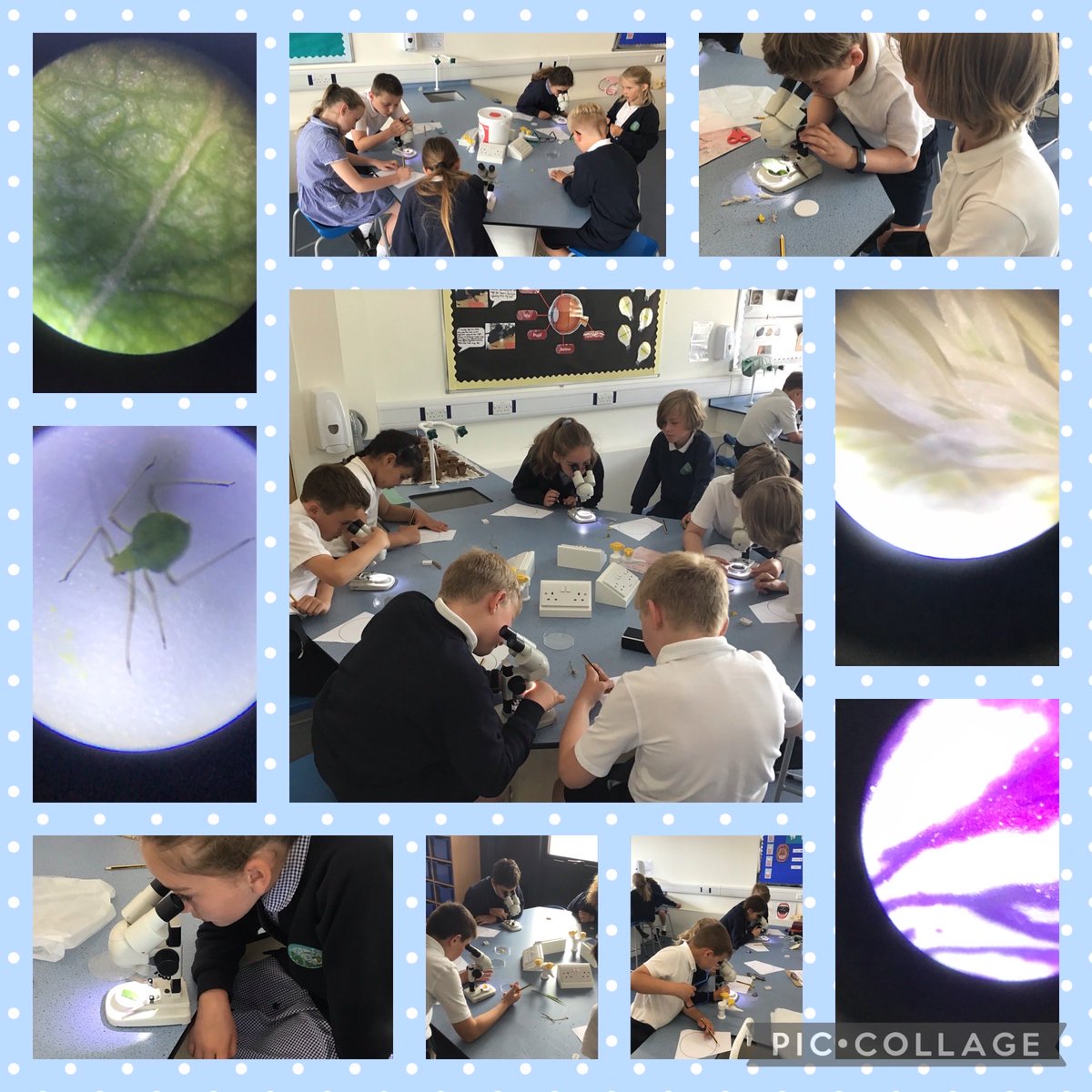 We had lots of fun today in the science lab using our new microscopes 🔬#inspiring wonder