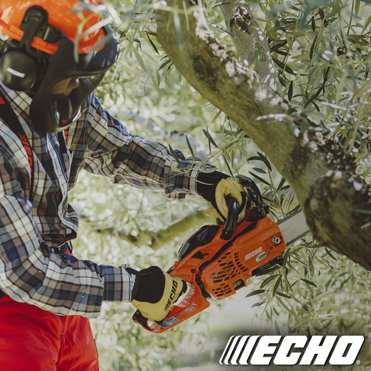 ECHO Canada tweet media
