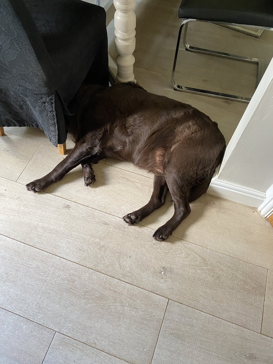 Some days it’s just all too much ….