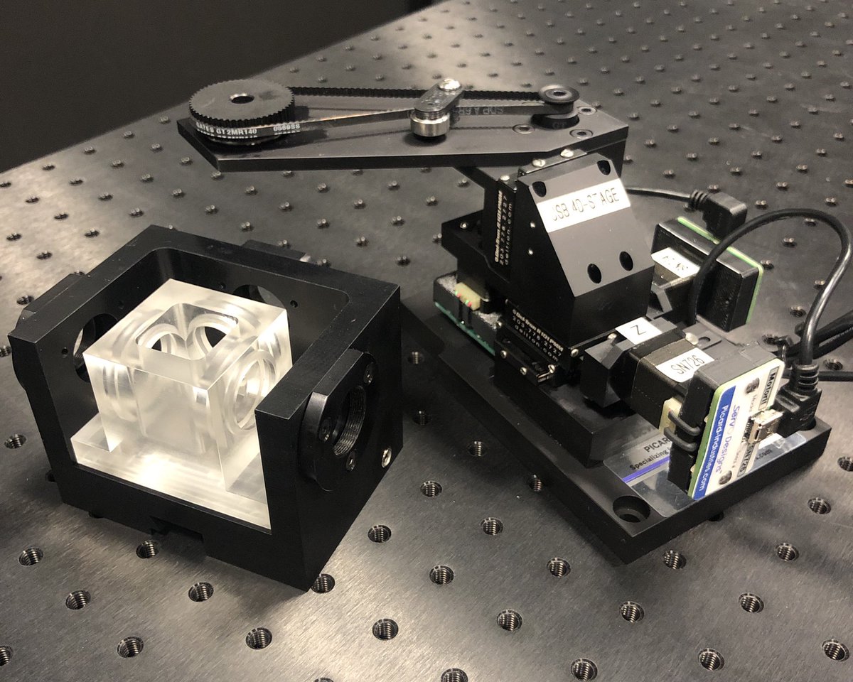 Andrew Pelling 🧫🔬 tweet media