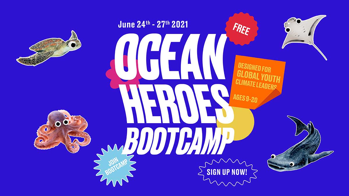 OH-Wake Media tweet media