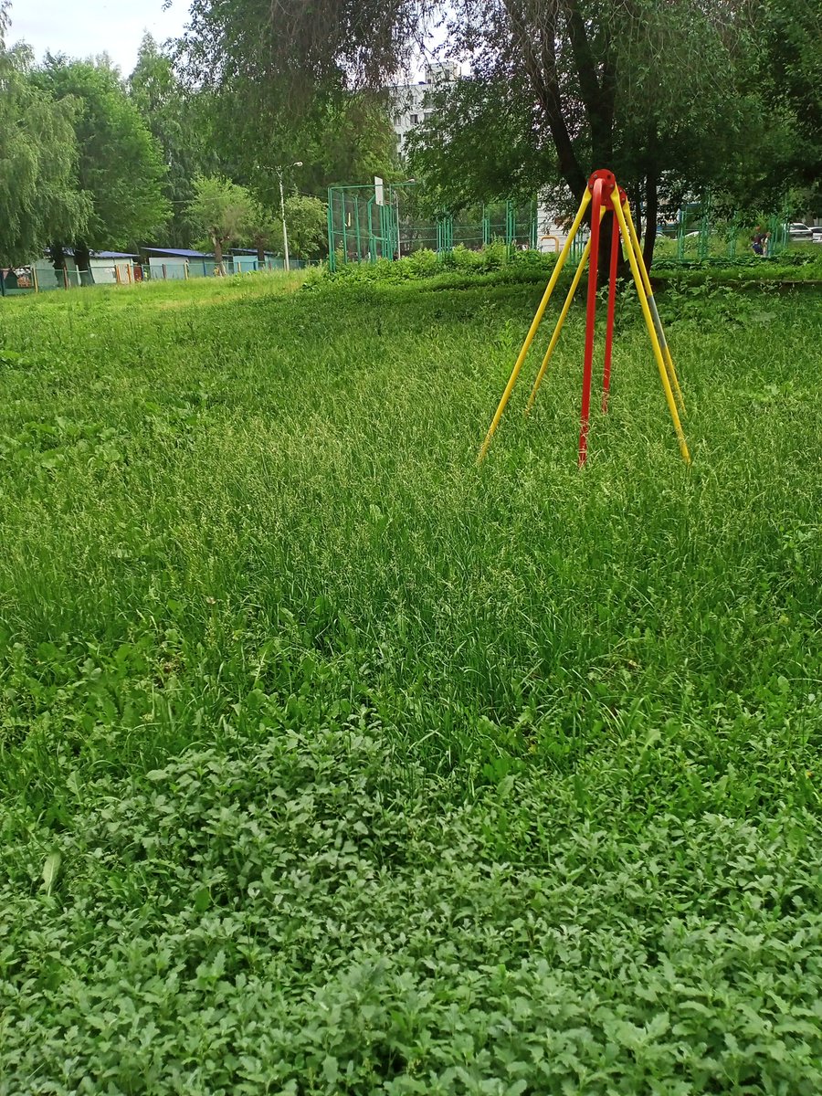 lanalusis's tweet photo. Пр.К-Маркса 487-491.Во дворе домов необходимо покосить траву вдоль пешеходного тротуара и на пустыре.@adm_kir63 @gkh_kir63 @OI_Komarov https://t.co/du3QID7suf