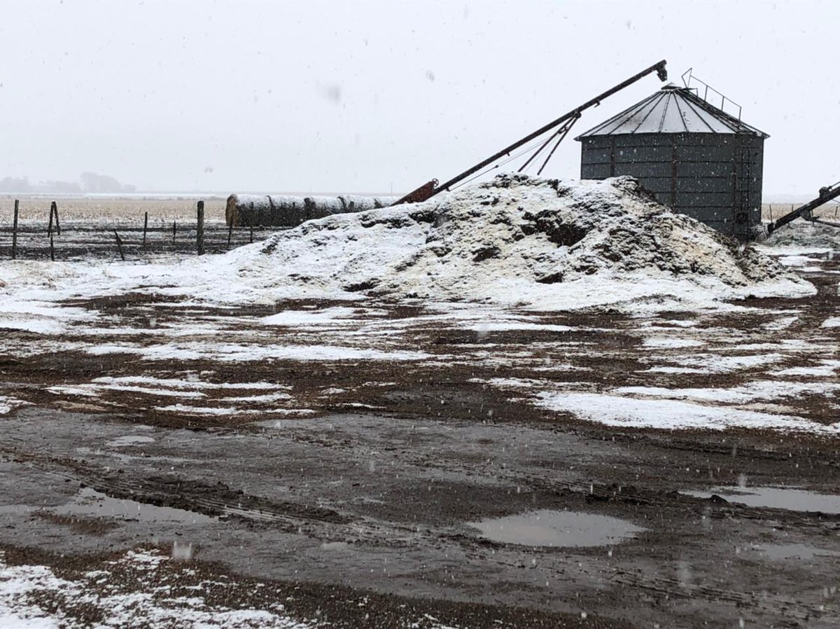 RuralCabrera's tweet photo. Nieva una vez más en nuestra querida Provincia de Córdoba!
#NieveEnCordoba #campo #agro #asociacionrural #gralcabrera #lasperdices https://t.co/RTSQMpKRSx