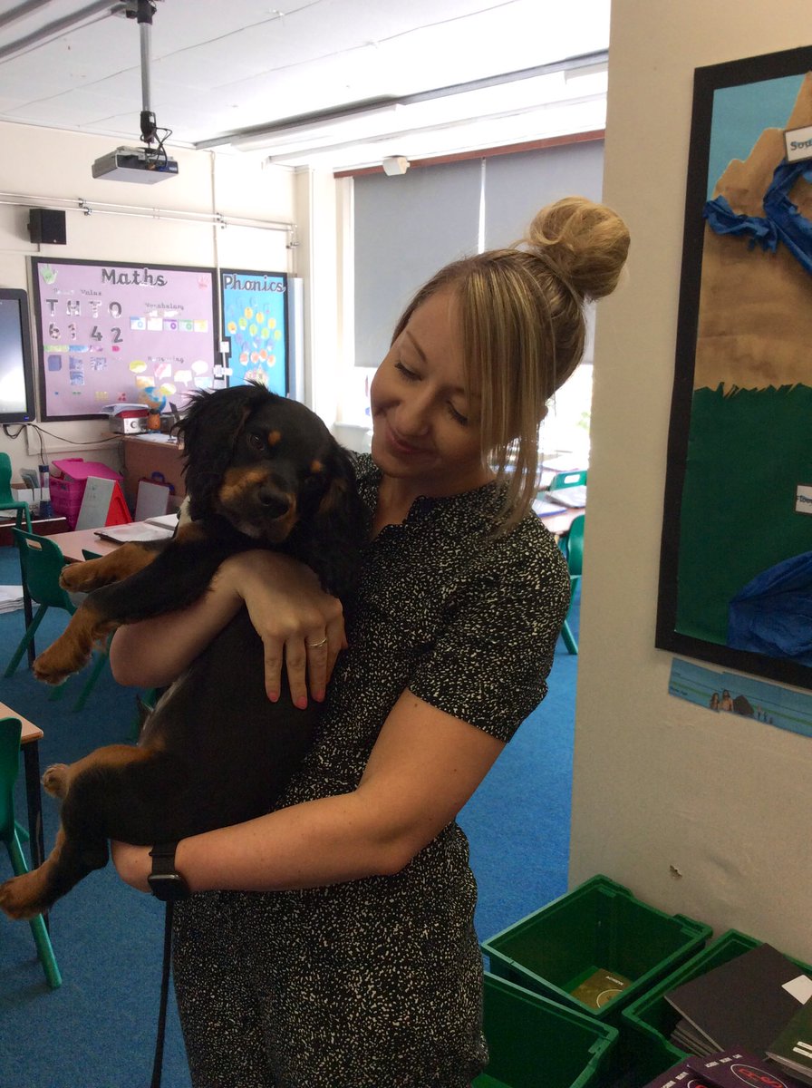 RykneldS's tweet photo. Today, the children in 3B were lucky enough to get to spend some time with Herbie! Everyone thoroughly enjoyed meeting him properly and really doted on him. He is truly paw-fect! 🐾 https://t.co/CD7IzVwjnj
