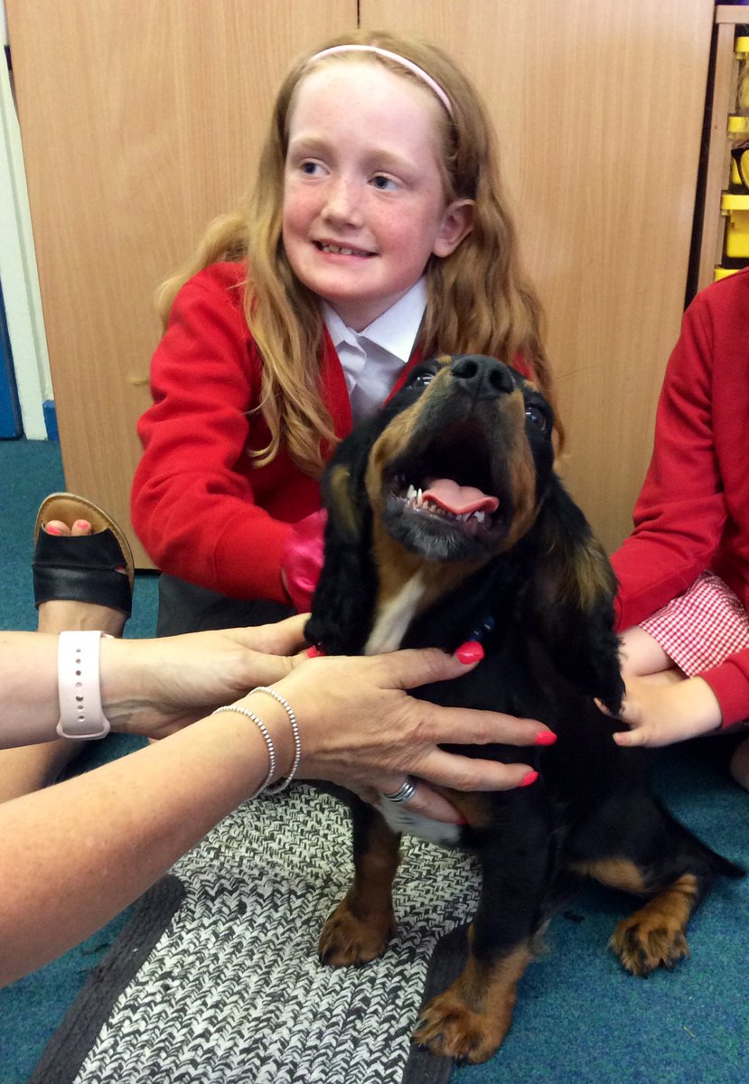RykneldS's tweet photo. Today, the children in 3B were lucky enough to get to spend some time with Herbie! Everyone thoroughly enjoyed meeting him properly and really doted on him. He is truly paw-fect! 🐾 https://t.co/CD7IzVwjnj