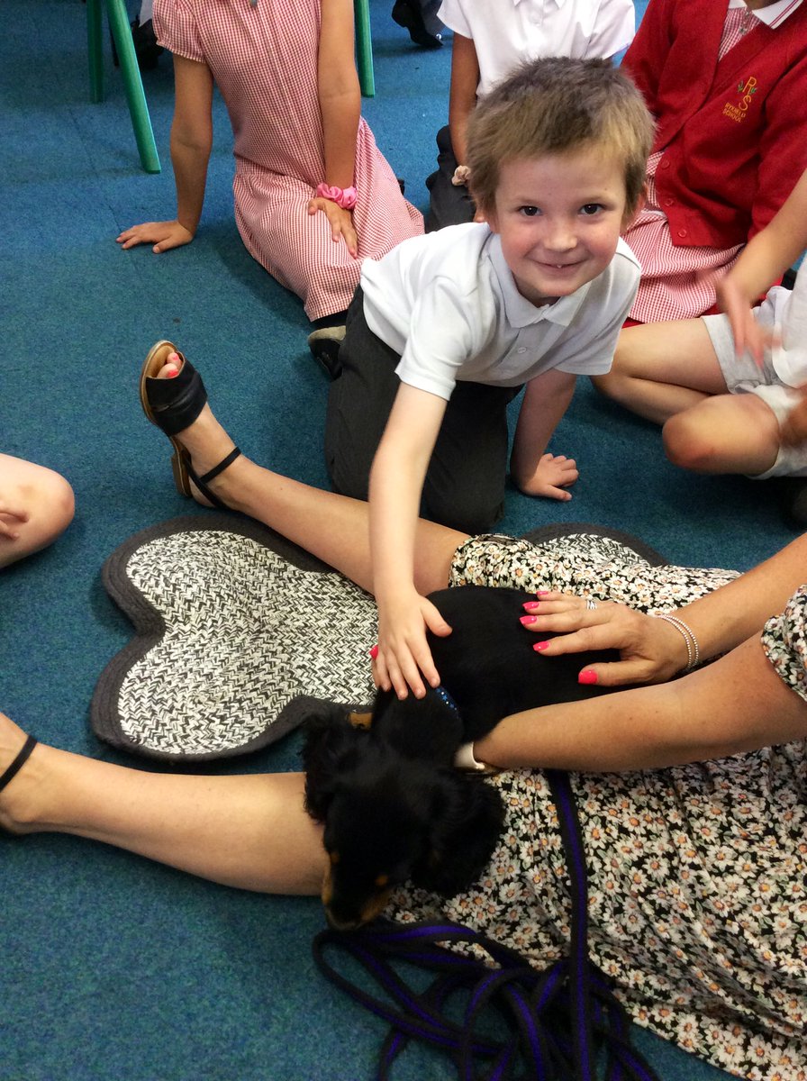 RykneldS's tweet photo. Today, the children in 3B were lucky enough to get to spend some time with Herbie! Everyone thoroughly enjoyed meeting him properly and really doted on him. He is truly paw-fect! 🐾 https://t.co/CD7IzVwjnj