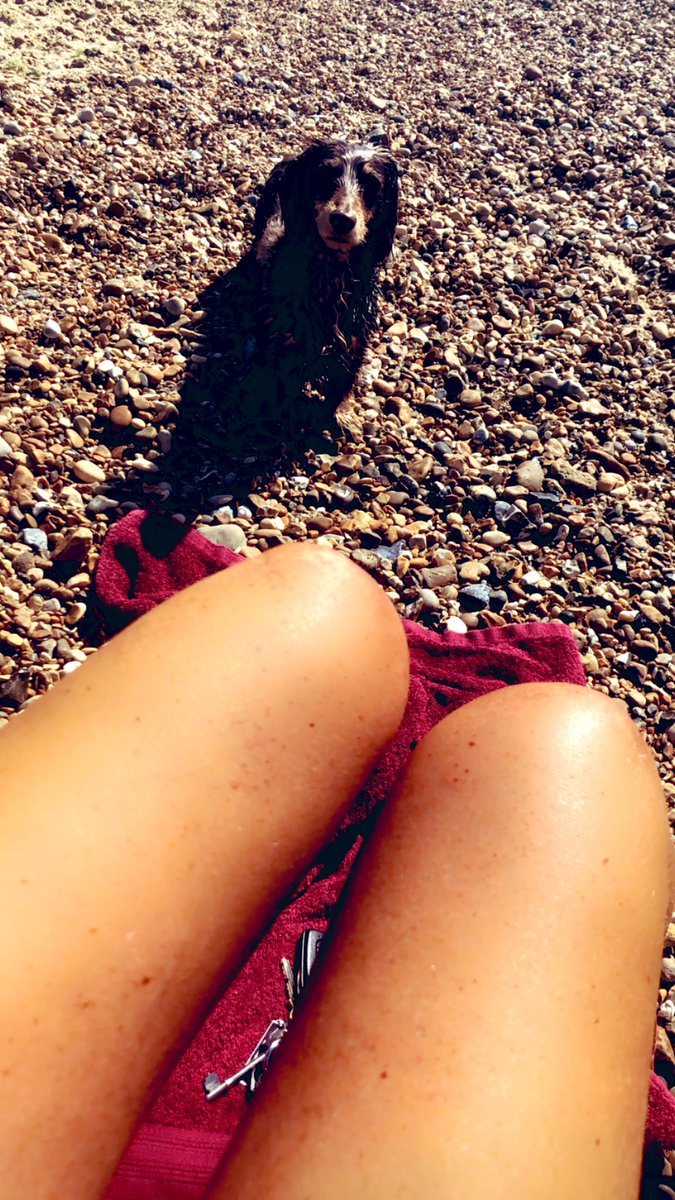 debbschanz's tweet image. FOR SALE…🙄🙄relentless,Soaked,winjing,mutt… #neverstops #throwmeastone #toomuchenergy #onlyjoking #heisallmine 🌞🏖🐶#sendwine