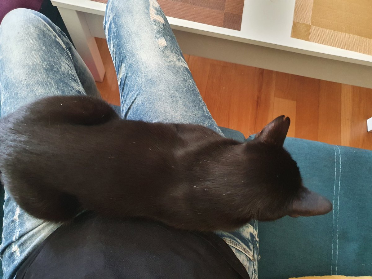 OruStarr's tweet photo. @Gamer_Vidal Llego a casa y xD https://t.co/H9iVJvCHqr