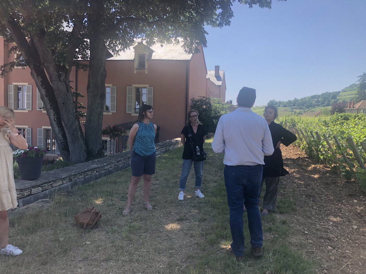 Valvital tweet media