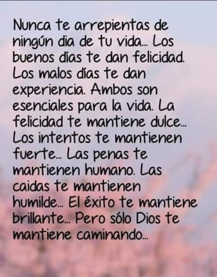 Nunca te arrepientas toda tu vida buena o mala es parte de un todo que te hace ser mejor persona