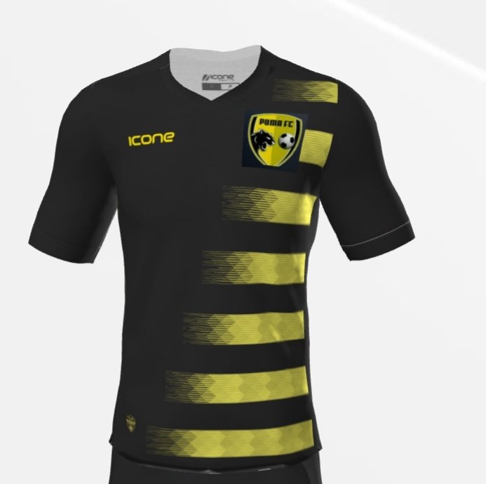 PumaFc2020's tweet photo. VEM PROJETO NOVO AI 💛🖤 ⚽
#ARRASTAPRACIMA https://t.co/HK8GMW29jt
