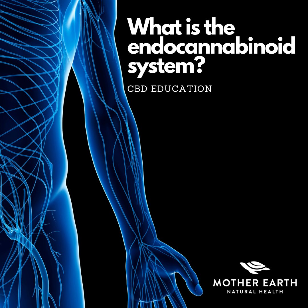 motherearthnh1's tweet photo. Have you ever heard of the endocannabinoid system? Considered the "Master Switchboard", the ECS is a vast & vital receptor system & is responsible for supporting & maintaining homeostasis.
#homeostasis #balance #health #body #wellness #cbdeducation #thecbdexperts #ecs https://t.co/peKo3Brc1g