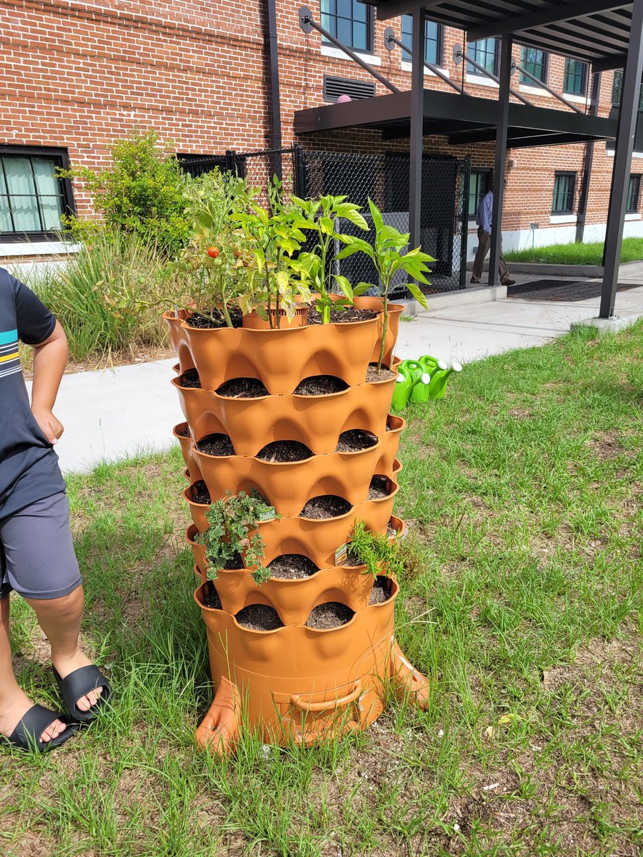 ericam1010's tweet photo. Day three of ESSP 4 complete! Students worked so hard planning and creating their PSA. During break time, students played outside and enjoyed our tower gardens. Look at all of the veggies!
@Gifted_HCPS #ESSP4 #hcpsteach #giftedhcps #4daysthatchangelives
#bethechange https://t.co/oMG20ngKz8