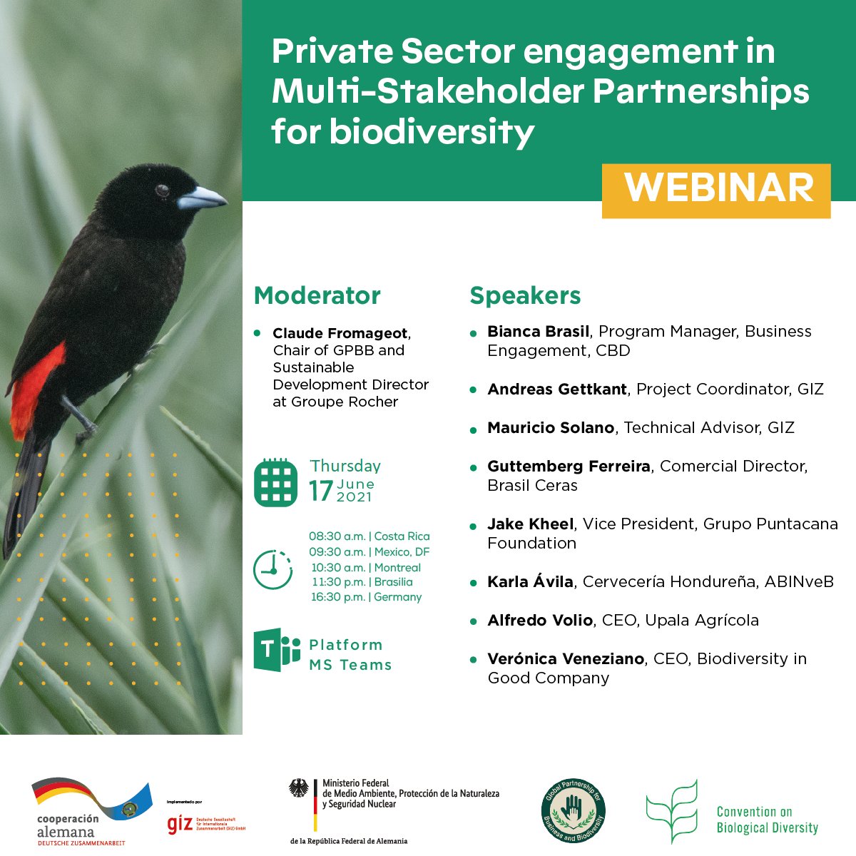 UN Biodiversity tweet media