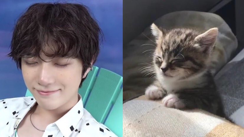 the catification of beomgyu