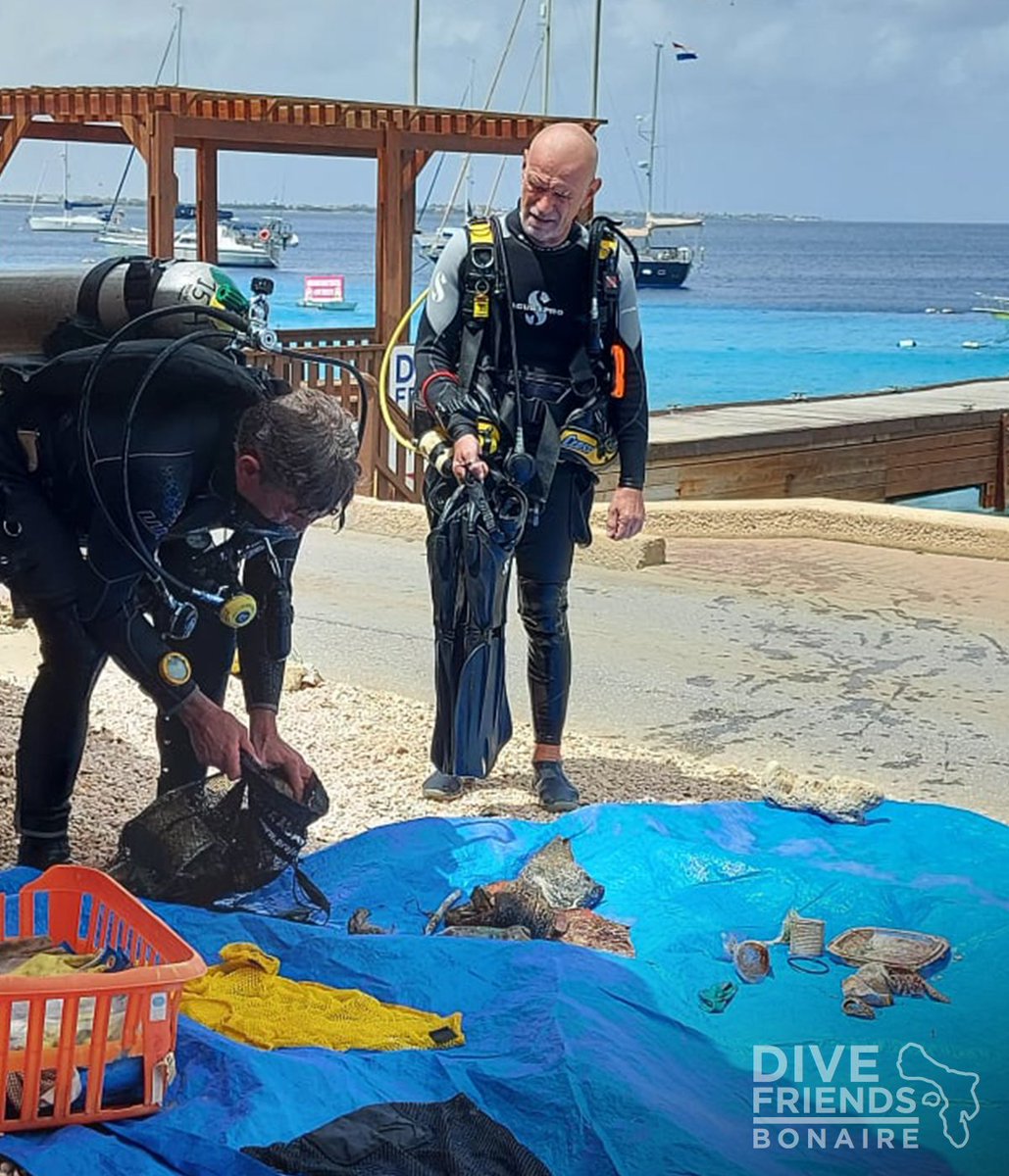 Dive Friends Bonaire tweet media