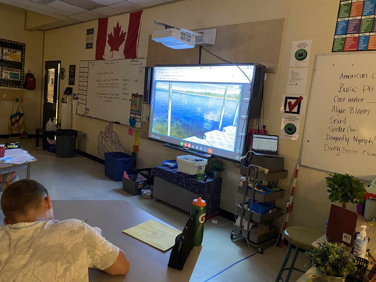 Teach_McIntosh's tweet photo. Thank you @Gr5ScienceKids for guiding the Gr5 through a virtual pond dip today at Ralph Klein Park! We are all so excited to do our own tomorrow at South Glenmore Park ☀️🐌🪱🪳🪰🦂🦆🐟🦫 @WeAreLouisCBE https://t.co/8vln2dUg7e