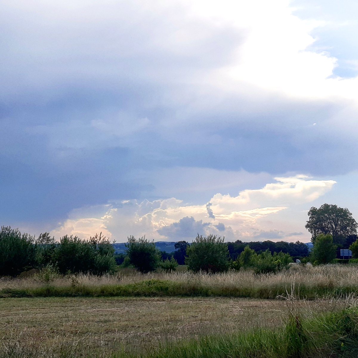 Cécile Saint-Marc tweet media