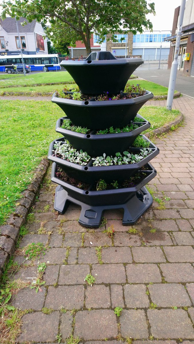 Elderslie Community Council (@eldersliecommu1) on Twitter photo We replenished our barrier planters and moved some things from there to the pagoda. Everything is looking colourful and cheery! #positiveelderslie #community <a href="/KSBScotland/">Keep Scotland Beautiful</a> We replenished our barrier planters and moved some things from there to the pagoda. Everything is looking colourful and cheery! #positiveelderslie #community <a href="/KSBScotland/">Keep Scotland Beautiful</a>
