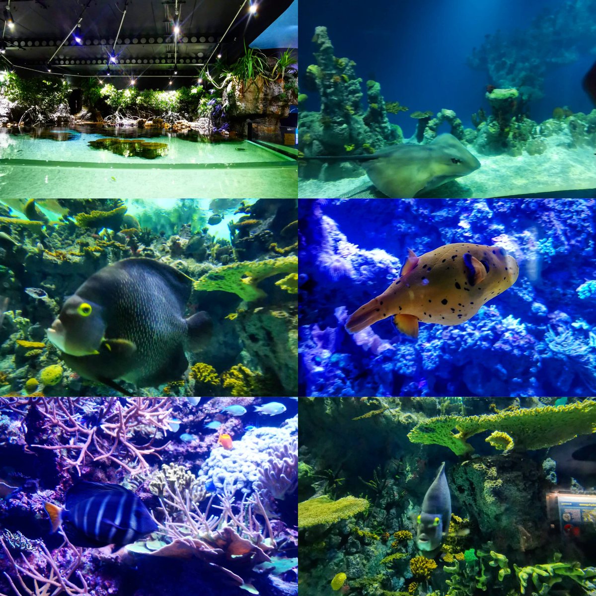 misslauracoates's tweet photo. More pictures from our day at @thedeephull 💙💙💙 #thedeep https://t.co/3abBfEKjdT