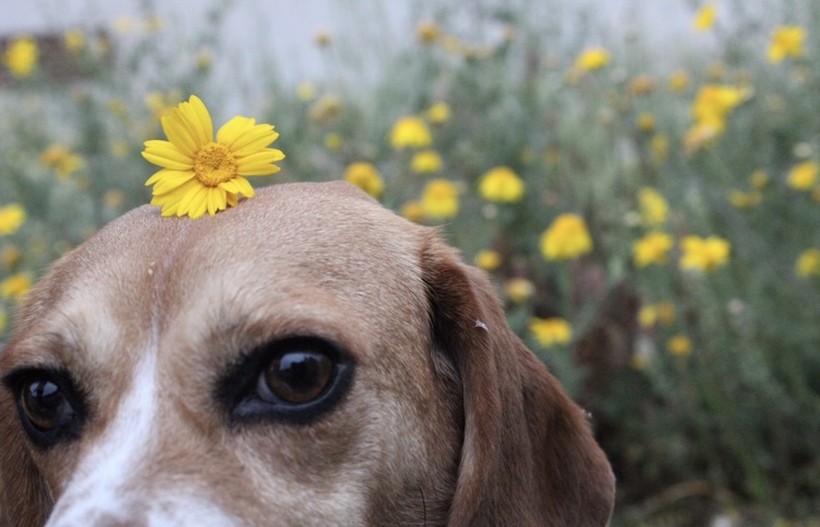 ATHENS PHOTO WORLD tweet media