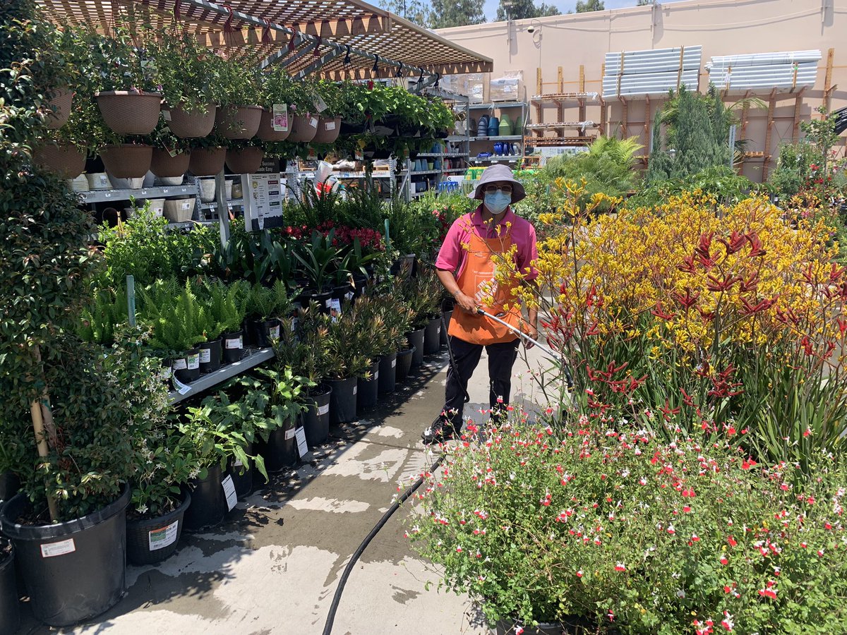 Mike Giles (@_mike_giles) on Twitter photo Angel feeding the Kangaroo Paws at West Escondido, keeping us healthy in the heat wave! <a href="/vida_kalhor/">Vida Kalhor</a> <a href="/BrianShugParker/">Brian Parker</a> <a href="/NotoKara/">Kara Noto</a> @cleakashmere <a href="/RickSchwend/">Rick Schwend</a> <a href="/steve_zeiss/">Steve Zeiss</a> Angel feeding the Kangaroo Paws at West Escondido, keeping us healthy in the heat wave! <a href="/vida_kalhor/">Vida Kalhor</a> <a href="/BrianShugParker/">Brian Parker</a> <a href="/NotoKara/">Kara Noto</a> @cleakashmere <a href="/RickSchwend/">Rick Schwend</a> <a href="/steve_zeiss/">Steve Zeiss</a>