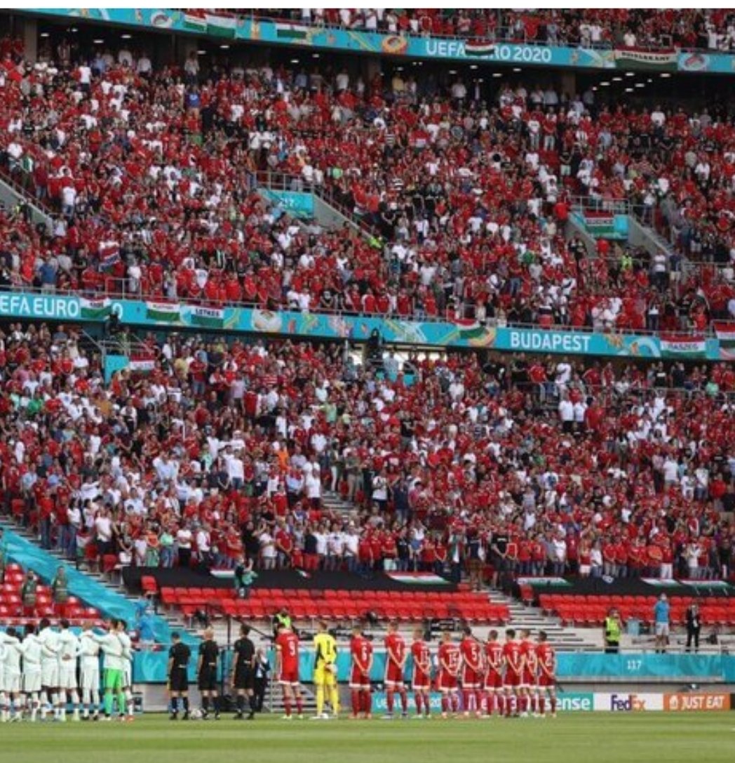 William Rodger tweet media