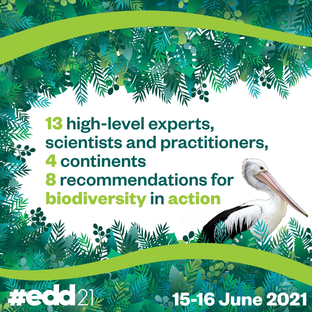 EU_Partnerships's tweet photo. 👩🏽‍🔬 We listen to the science!

13 high-level experts, scientists and practitioners from four continents have presented eight recommendations to protect biodiversity #OnEarth. They will inform our political work and our programmes for years to come. 

Check it out 👇🏽 #EDD21