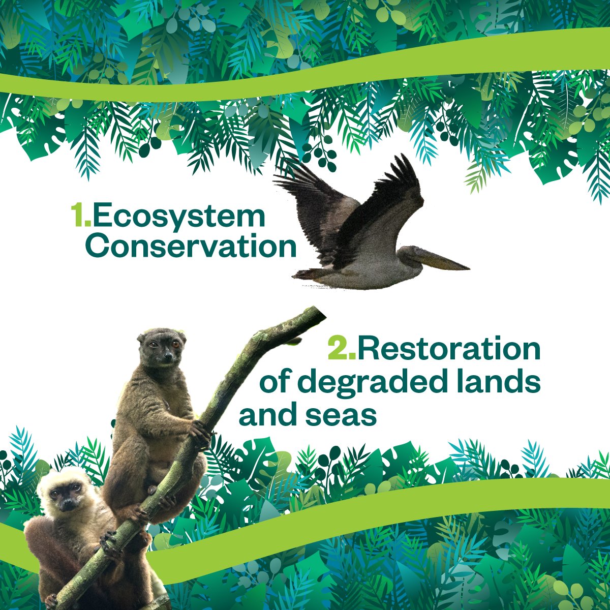 EU_Partnerships's tweet photo. 👩🏽‍🔬 We listen to the science!

13 high-level experts, scientists and practitioners from four continents have presented eight recommendations to protect biodiversity #OnEarth. They will inform our political work and our programmes for years to come. 

Check it out 👇🏽 #EDD21