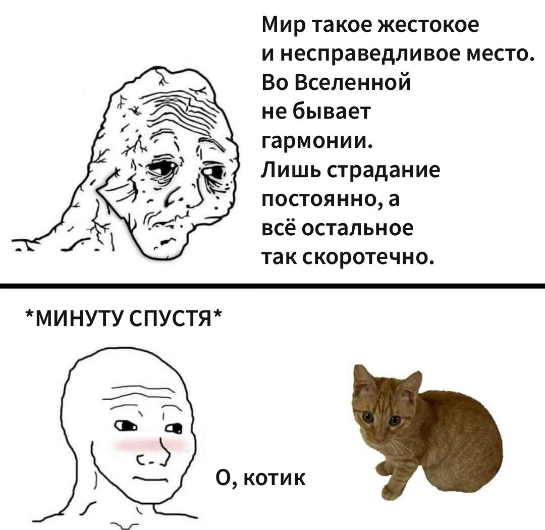 mamblcat's tweet photo. @viismuth https://t.co/4rAt5La2TF