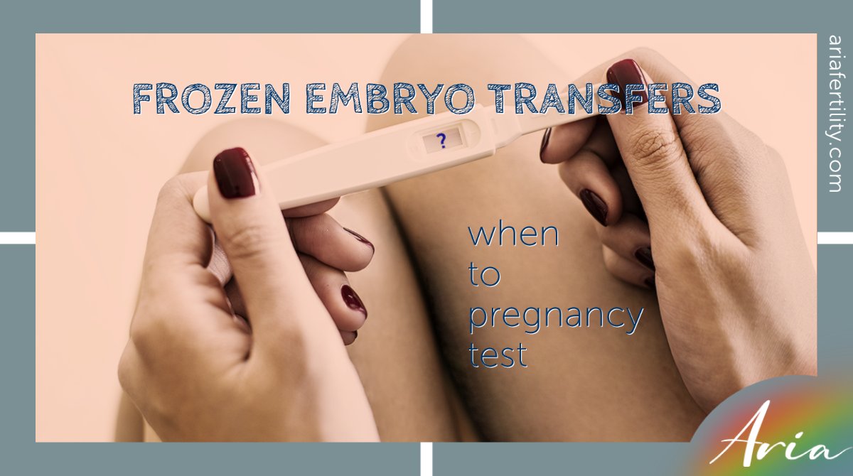 We will give you a date to do your pregnancy test at the time of transfer!

Visit ariafertility.com &amp; call our friendly team on 02032636025

#ttcuk #womenshealthuk #icsiuk #fertilitytips #ttc #fertilityproblems #ivfclinic #ivfsuccess #fertility #IVF
#loveislove
#pride2021