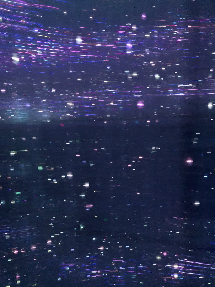 Palliative Pandemonium