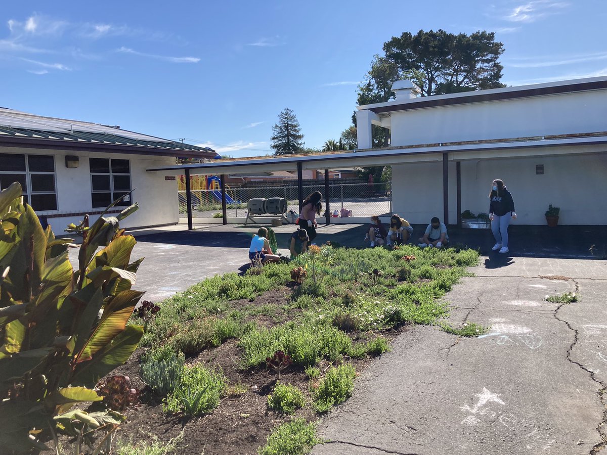 HolbrookMDUSD's tweet photo. We learn a few gardening rules from Mr.Jeremy @Holbrook_Cares and help take care of our #HOLAGARDEN. #HOLASummer Session in full action 😎 https://t.co/JBjh5lb6St
