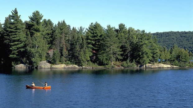 CP24's tweet photo. Ontario offers free fishing and park-use over Father’s Day weekend https://t.co/jTAhAhrOyh https://t.co/w2kQ7ZEM8s