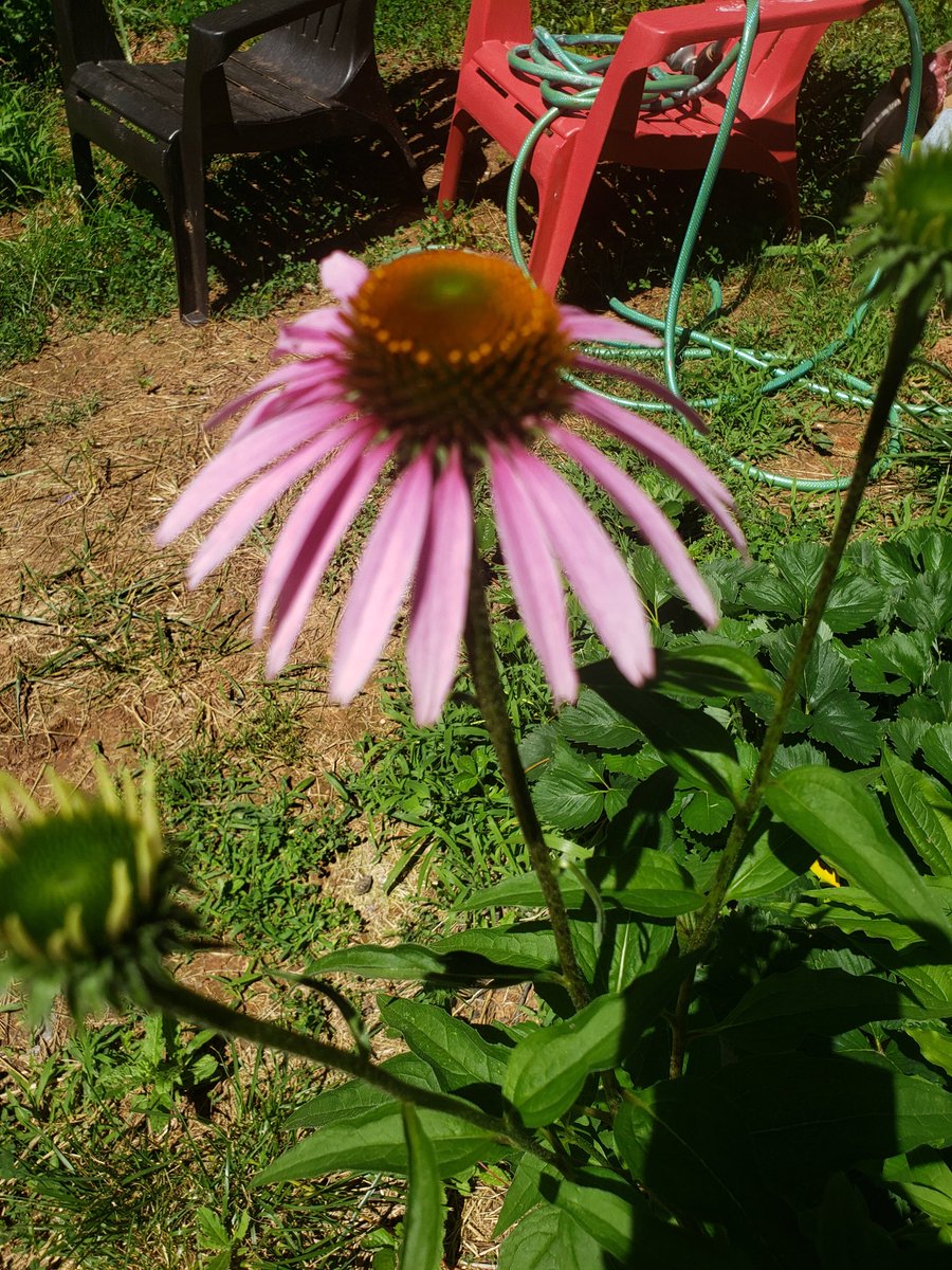 Marigold Art Studio tweet media