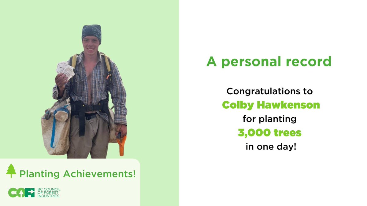 COFI_INFO's tweet photo. Inspired by his family's tradition of planting 🌲🌲🌲, 18-year-old Colby Hawkenson is working hard this season &amp; planted his 1st 3,000 trees in a single day. 🙌 Kudos to one of the newest planters in the Carrier operating area north west of @CityofPG @Hawky630. https://t.co/WT6mUby4xM