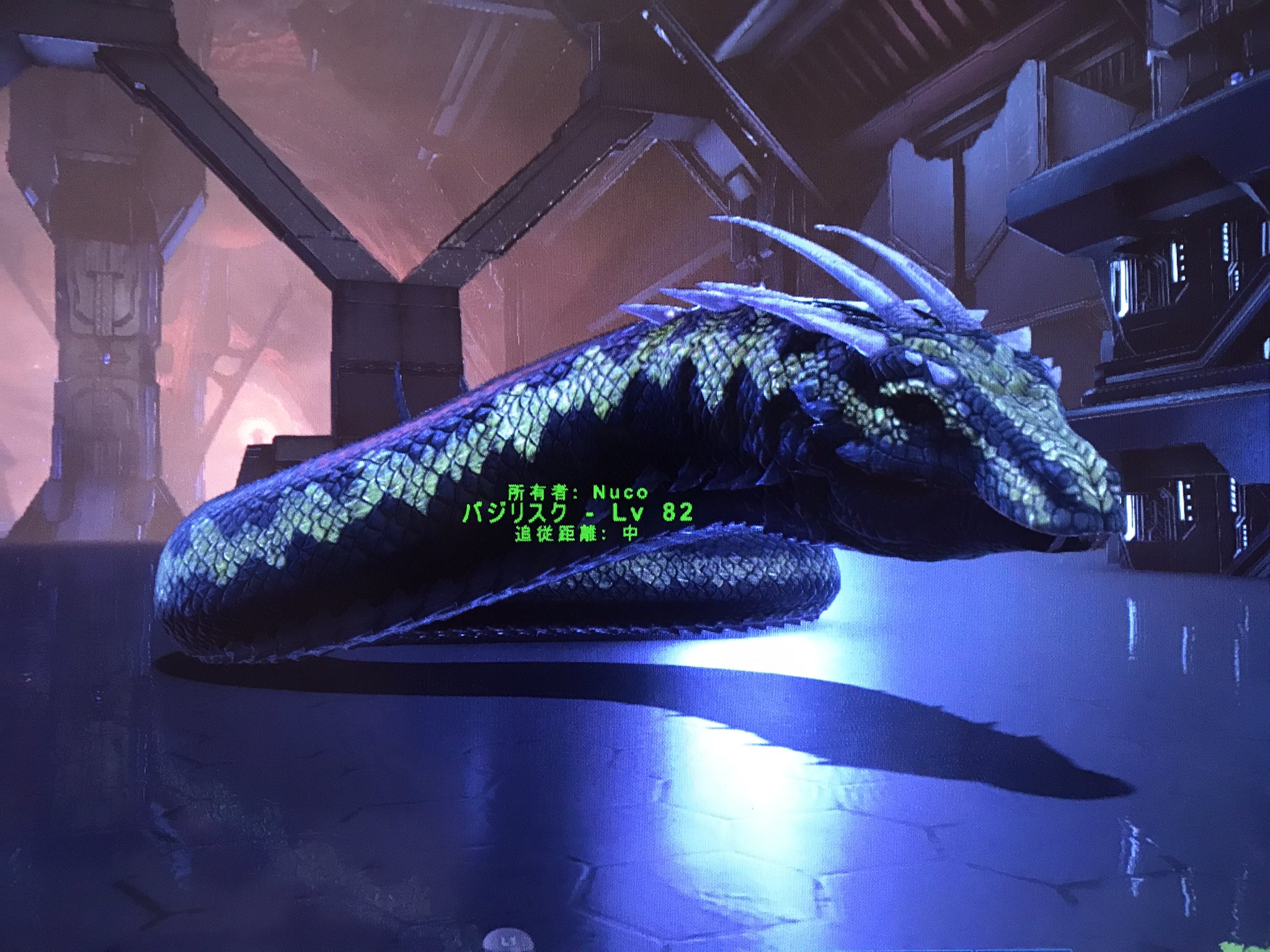 ぬこ Twitterren Ark ジェネシス2 Ps4 朗報 ヴォイドの卵でバジリスクテイム可能 アイルズではクリスタル ワイバーンの卵じゃテイム出来なかった 俺がやった時は から無理かなぁ 思いながらやったら出来たわ 笑 ジェネシス2でもバジリスク畑が作れるぞ ぬこ Twitterren Ark ジェネシス2 Ps4 朗報 ヴォイドの卵でバジリスクテイム可能 アイルズではクリスタル ワイバーンの卵じゃテイム出来なかった 俺がやった時は から無理かなぁ 思いながらやったら出来たわ 笑 ジェネシス2でもバジリスク畑が作れるぞ